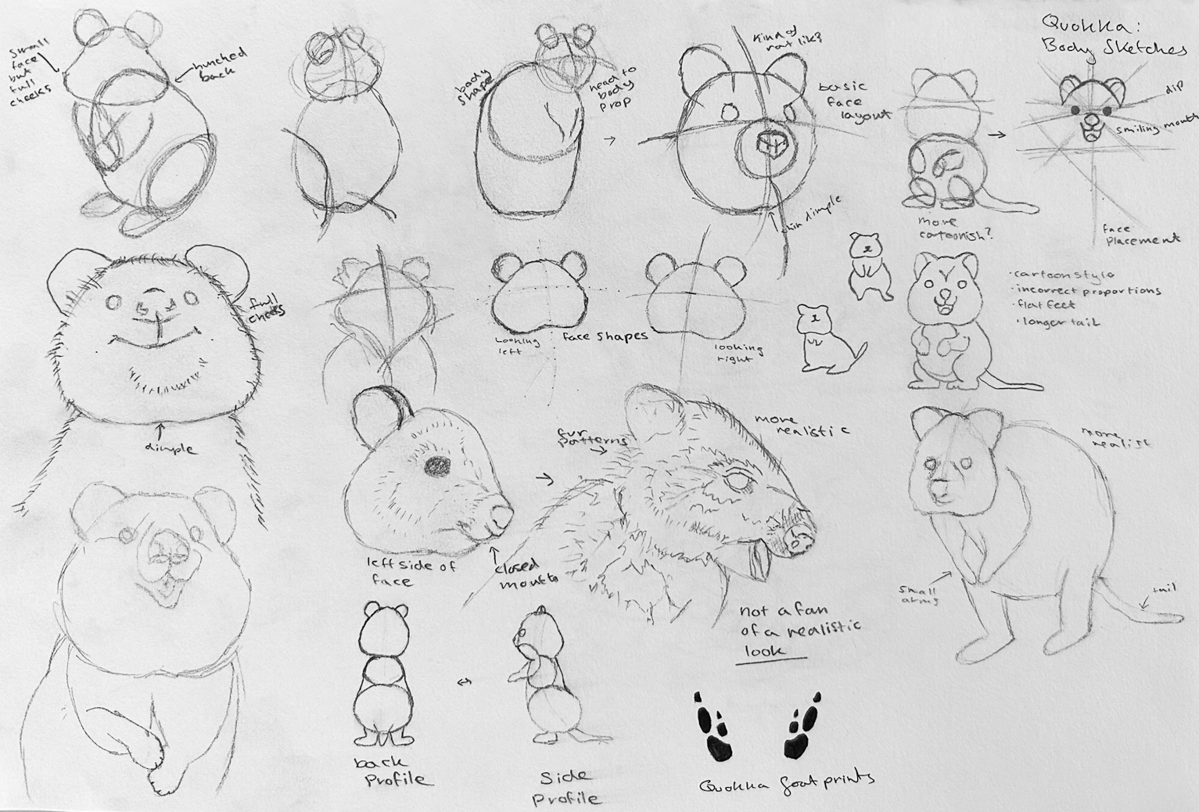 Multiple sketches capturing various facial expressions and positions from different angles, inspired by wildlife photography of the adorable quokka. These sketches aided in comprehending the small proportions and distinctive head shape of the quokka.